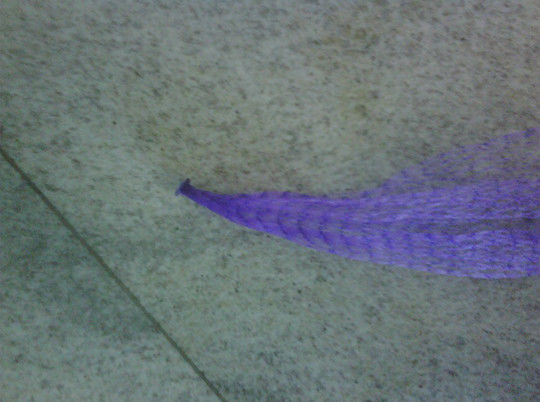 Complete Color Plastic Net Cover Beautiful Decoration Effect Is Good